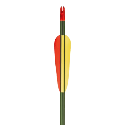 EK Archery Aluminium Arrows 30" Green - Pack Of 5 4 EK Archery Aluminium Arrows 30" Green - Pack Of 5 - Image 2