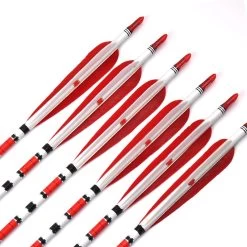 31 Inch Turkey Feather Mixed Carbon Arrows X 10